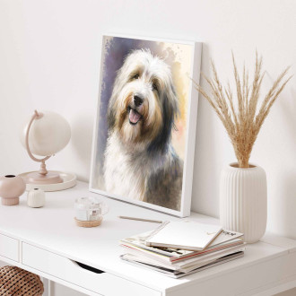 Bearded Collie akvarel