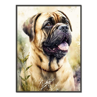 Bullmastiff akvarel