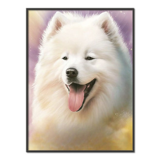 Samojed akvarel