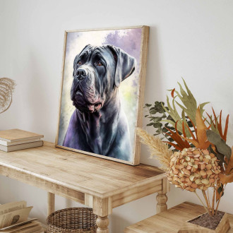 Cane Corso akvarel