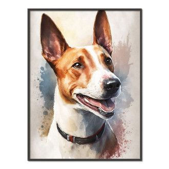 Basenji akvarel