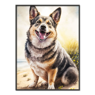 Švédsky Vallhund akvarel