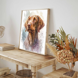 Wirehaired Vizsla akvarel