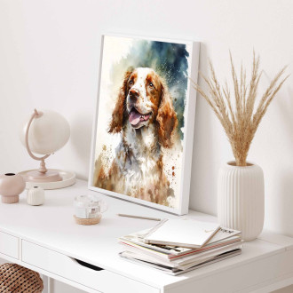 Welsh Springer Spaniel akvarel