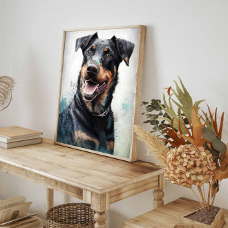 Beauceron akvarel