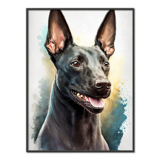 Xoloitzcuintli akvarel