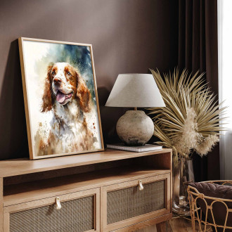 Welsh Springer Spaniel akvarel