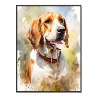 Americký foxhound akvarel