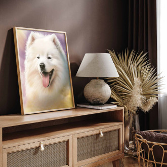 Samojed akvarel