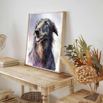 Škótsky deerhound akvarel
