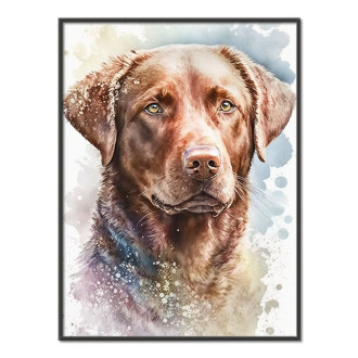 Chesapeake Bay retriever akvarel