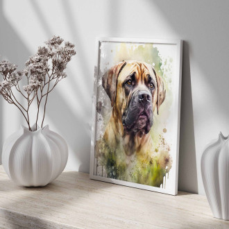 Boerboel akvarel