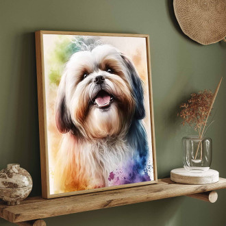 Lhasa Apso akvarel