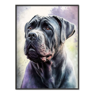 Cane Corso akvarel