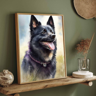 Schipperke akvarel