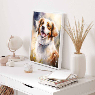Holandský Kooikerhondje