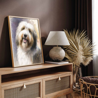 Bearded Collie akvarel