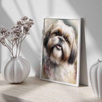 Shih Tzu akvarel