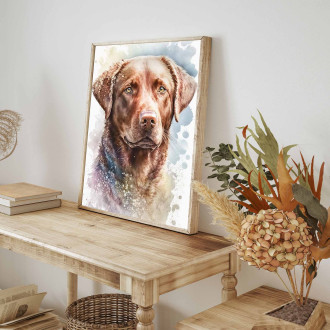 Chesapeake Bay retriever akvarel