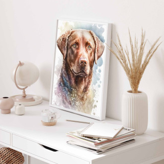 Chesapeake Bay retriever akvarel