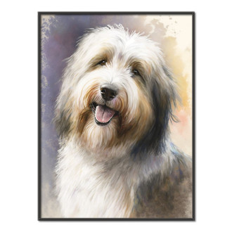 Bearded Collie akvarel