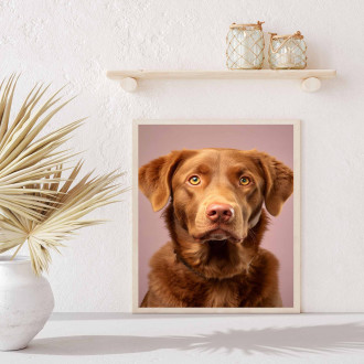 Chesapeake Bay retriever realistic