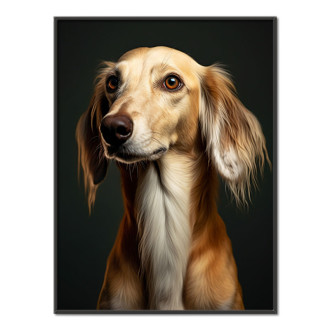 Saluki realistic