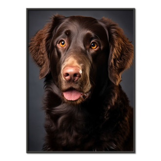 Curly Coated Retriever realistic