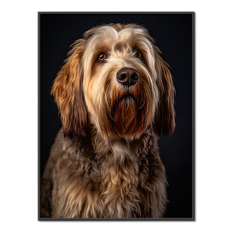 Otterhound realistic