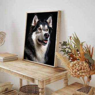 Sibírsky husky realistic