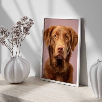 Chesapeake Bay retriever realistic