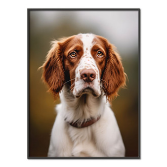 Welsh Springer Spaniel realistic