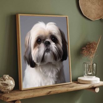 Shih Tzu realistic