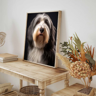 Bearded Collie realistic