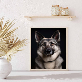 Nórsky Elkhound realistic