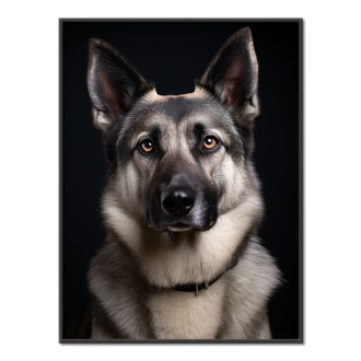 Nórsky Elkhound realistic