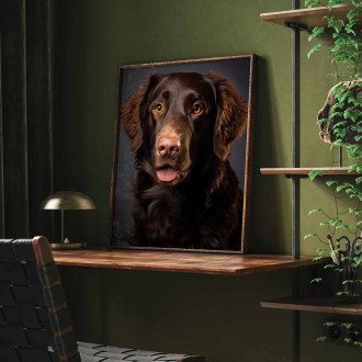 Curly Coated Retriever realistic