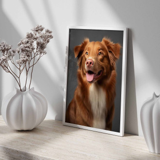 Nova Scotia Duck Toll Retriever realistic