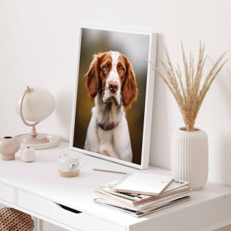 Welsh Springer Spaniel realistic