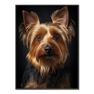 Silky Terrier realistic