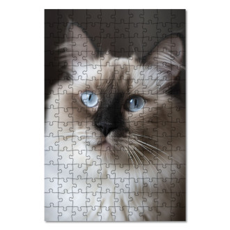 Drevené puzzle Ragdoll mačka realistic