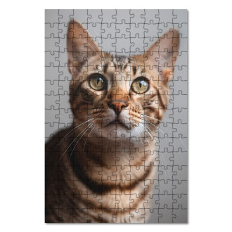 Drevené puzzle Ocicat mačka realistic