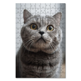 Drevené puzzle Škótska klapúchá mačka realistic