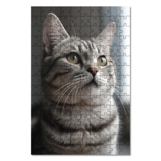 Drevené puzzle Americká krátkosrstá mačka realistic