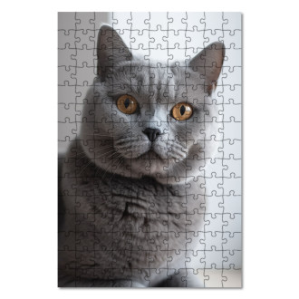 Drevené puzzle Britská krátkosrstá mačka realistic