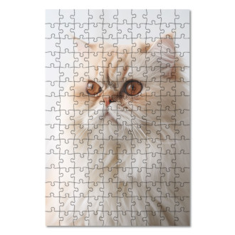 Drevené puzzle Perzská mačka realistic