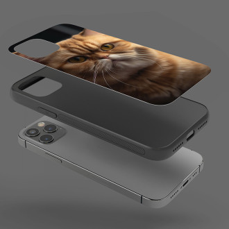 Exotická krátkosrstá mačka realistic