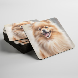 Podtácky Pomeranian akvarel