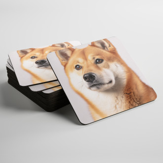 Podtácky Shiba Inu realistic