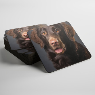 Podtácky Curly Coated Retriever realistic